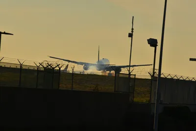 DSC_5715 (Large).JPG